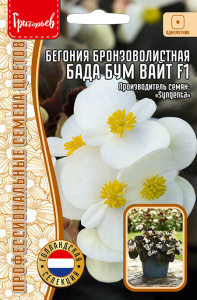 Бегония Бада Бум F1 Вайт бронзоволистная купить