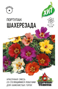 Портулак Шахерезада*, смесь ХИТ х3 купить