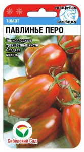 Томат Павлинье перо  купить