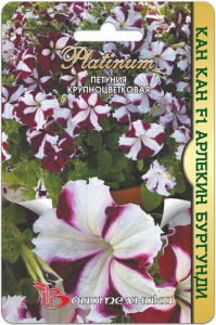 Петуния Кан кан F1 Арлекин Бургунди купить