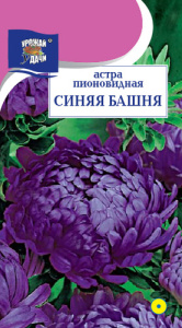 Астра Башня Синяя пионовидная купить