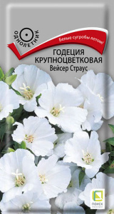 Годеция Вейсер Страус крупноцв. купить