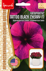 Катарантус Тату F1 Блэк Черри (Tattoo Black Cherry) купить
