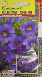 Калибрахоа F1 Каблум Синяя купить