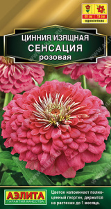 Цинния Сенсация розовая /Farao Золотая серия купить