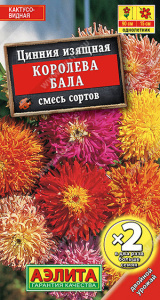 Цинния Королева бала, смесь  купить