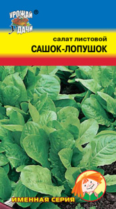 Салат Сашок-Лопушок  купить