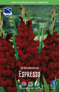 Гладиолус XXL Espresso 14/16 /10шт купить