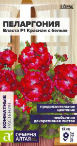 Пеларгония зональная Алена F1 красная с белым купить