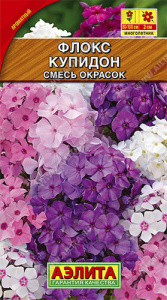 Флокс метельчатый Купидон, смесь окрасок купить