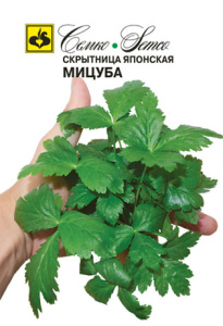 Скрытница японская Мицуба купить