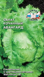 Салат Авангард  кочанный купить