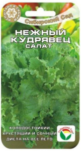 Салат Нежный кудрявец  купить