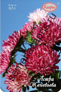 Астра Женевьева 0.5г/1шт купить