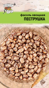Фасоль овощная ПЕСТРУШКА  купить