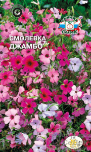 Смолевка (силена) Джамбо  купить