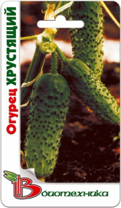 Огурец Хрустящий  купить