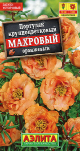 Портулак Оранжевый махровый   купить