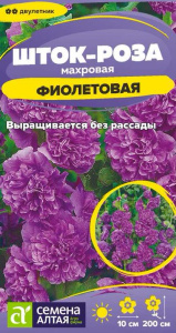 Шток-роза Фиолетовая купить