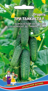 Огурец Три Tанкиста F1 купить