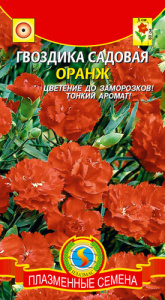 Гвоздика садовая Оранж купить