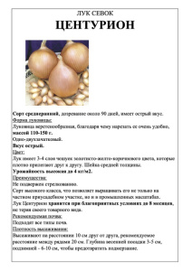 Лук Центурион фото А5 купить