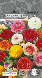 Ранункулюс азиатский смесь  купить