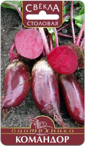 Свекла Командор  купить