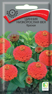 Цинния Фея Красная низкорослая купить