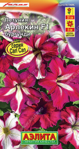 Петуния Арлекин Бургунди F1 крупноцветковая купить