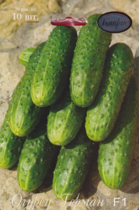 Огурец Герман F1  купить