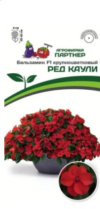 Бальзамин Уоллера F1 Ред Каули  купить