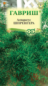 Аспарагус Шпренгера  купить