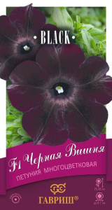Петуния Черная Вишня F1 многоцветк. купить