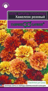 Бархатцы Хамелеон розовый откл. купить