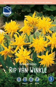 Нарцисс double "Rip van Winkle" (1х10шт) купить
