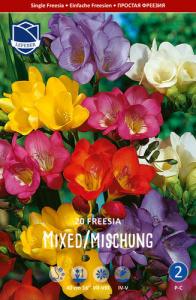 Фрезия single /20шт купить