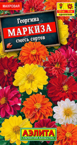 Георгина Маркиза, махровая смесь купить