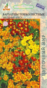 Бархатцы Звездный Блеск  купить
