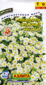 Танацетум Снежные звезды   купить
