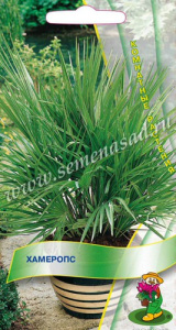 Хамеропс  купить