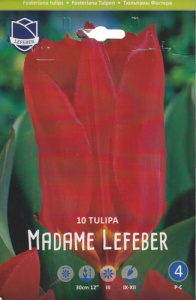 Тюльпан Фостера "Madame Lefeber" (1х10шт) купить