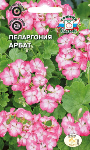 Пеларгония Арбат купить
