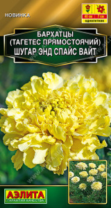 Бархатцы Шугар энд спайс вайт прямостоячие купить