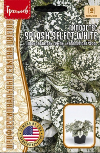 Гипоэстес Сплэш Селект Белый (Splash Select White) купить