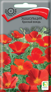 Эшшольция Красный вождь купить