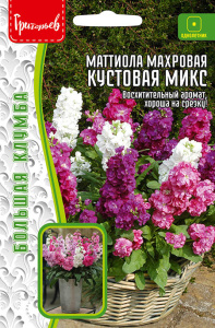 Маттиола Кустовая Микс махровая купить
