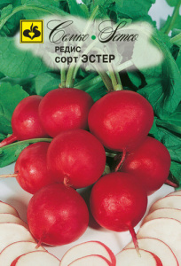 Редис Эстер  купить