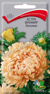 Астра Фламир Лососевая купить