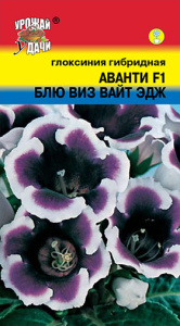 Глоксиния Аванти Блю виз Вайт эдж F1  купить